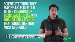 6 Bacteria with Awesome Superpowers Instructional Video