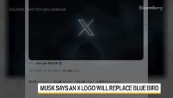 Musk Plans to Drop Twitter's Logo and 'All the Birds' News Clip