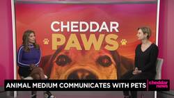 Cheddar Paws: Animal Medium Communicates With Pets News Clip