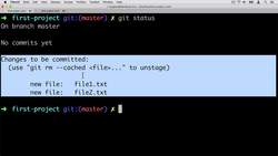 Complete Git Guide: Understand and Master Git and GitHub - Creating Your First Commit Instructional Video