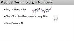 Medical Terminology - The Basics, Lesson 1.2 - Numbers Instructional Video