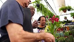 Mature African Couple Customer Buying at Flower Market Stock Footage
