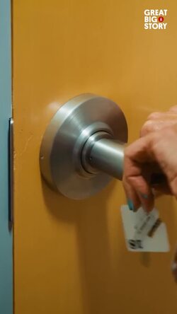 The vibrant world of Lisa Frank, art and innovation Instructional Video