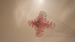 NASA engineers on stress, rituals before landing News Clip