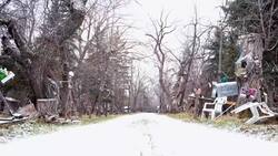 Meet the charming, whimsical creatures living in centenarian's back yard News Clip