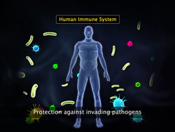 Auto-Immune Disorders Instructional Video