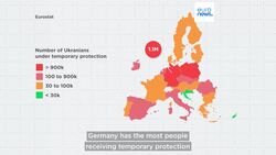 How many non-EU citizens were under temporary protection at the end of 2024? News Clip