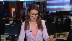 Two Lethbridge officers admit to surveilling a former cabinet minister News Clip