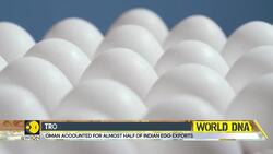 Oman Blocks Indian Egg Imports, Poultry Industry In Tamil Nadu Hit Hard News Clip