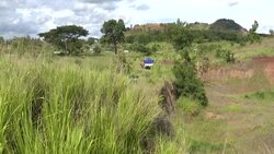 CLEAN : Papua New Guinea holds mass Covid burial News Clip