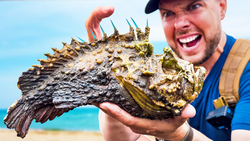 STUNG by a Stonefish! (Most Painful Sting on Earth) Instructional Video