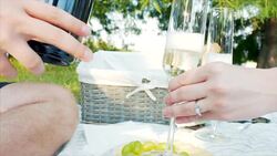 Celebrating our engagement! Stock Footage