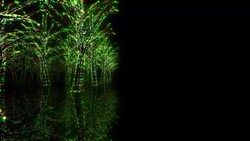 Neon Tree illumination Stock Footage