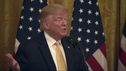 Trump hails social media, slams 'fake news' News Clip