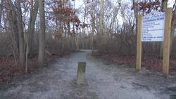 Police work to identify male and female remains found in Babylon park News Clip