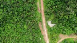 CLEAN : FILE: Brazil exports to EU produced on illegally deforested land (report) News Clip