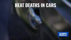 Automakers to make changes to car technology to prevent heat-related car deaths News Clip