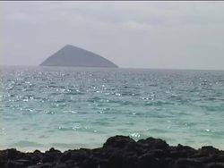 Understanding Speciation and Adaptive Radiation Instructional Video