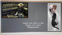 Intermediate German #1: Dog Care Instructional Video