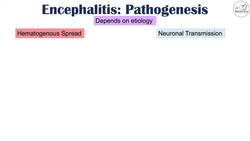 Encephalitis (Brain Inflammation) | Causes, Symptoms, Diagnosis, Treatment Instructional Video