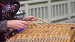 Playing the dulcimer Stock Footage