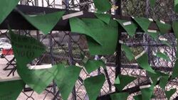 CLEAN : Mexican women protest against US abortion ruling News Clip