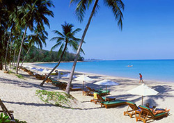 Mass Tourism: Case Study Instructional Video