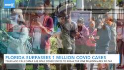 Florida Surpasses 1 Million COVID-19 Cases News Clip