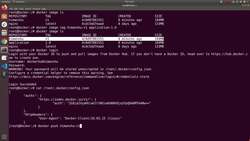 Docker - A Complete Hands-On Guide - Let- Push Images to Our Docker Hub Account Instructional Video