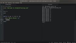 Bash Shell Scripting - Creating Loops Using "while" and "until" Instructional Video