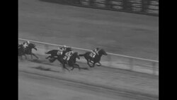 Master Fiddle wins Wood Memorial Stakes at New York's Jamaica racetrack News Clip