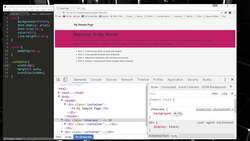 The Full Stack Web Development - DOM Inspection & Editing Instructional Video