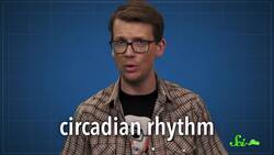 Weird Things Whales Lost on Their Journey to the Sea Instructional Video