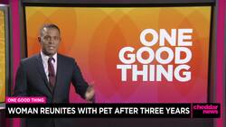 One Good Thing: Woman Reunites With Pet After Three Years News Clip