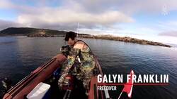 Sea lions as companions, wild encounters Instructional Video