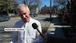 Gardeners are one step closer to planting food on city-owned land in front of their homes News Clip