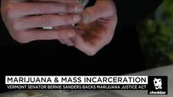The Future of Legalization and Decriminalization News Clip