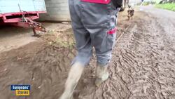 Who's afraid of the EU-Mercosur Agreement? News Clip