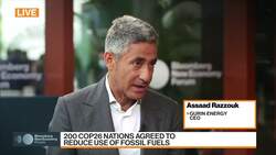 Gurin Energy CEO on Clean Energy Outlook News Clip