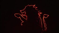 Christmas light show brings festive cheer to Los Angeles Zoo News Clip