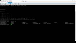 Docker for the Absolute Beginner - Hands-On - Demo - Advanced Docker Run Features Instructional Video