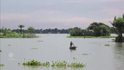 Massive flooding in India leaves death and destruction News Clip