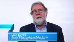 How can a change to one species trigger a chain reaction that affects many more? Instructional Video