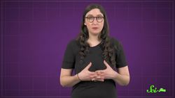 The Really Important Reason Your Lungs Have Taste Receptors Instructional Video