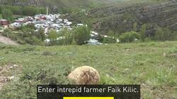 Turkish farmer finds giant, 8 kg mushroom growing in village News Clip