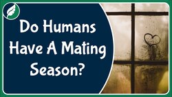 Do humans have a mating "season", and what might affect it? Instructional Video