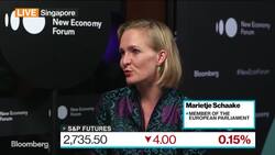 U.S.-European Relations Saw Dramatic Changes, MEP Schaake Says News Clip