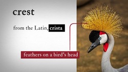 Macbeth 5.7 Word Nerd: Crest Instructional Video