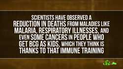 Could an Old Vaccine Help Against COVID-19? Instructional Video