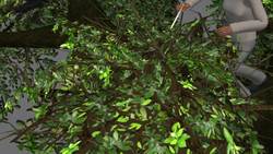 Chimpanzees have cleaner beds than humans, study says Instructional Video